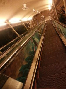 Shout Award Escalator