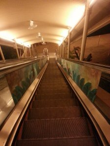 Shout Award Escalator